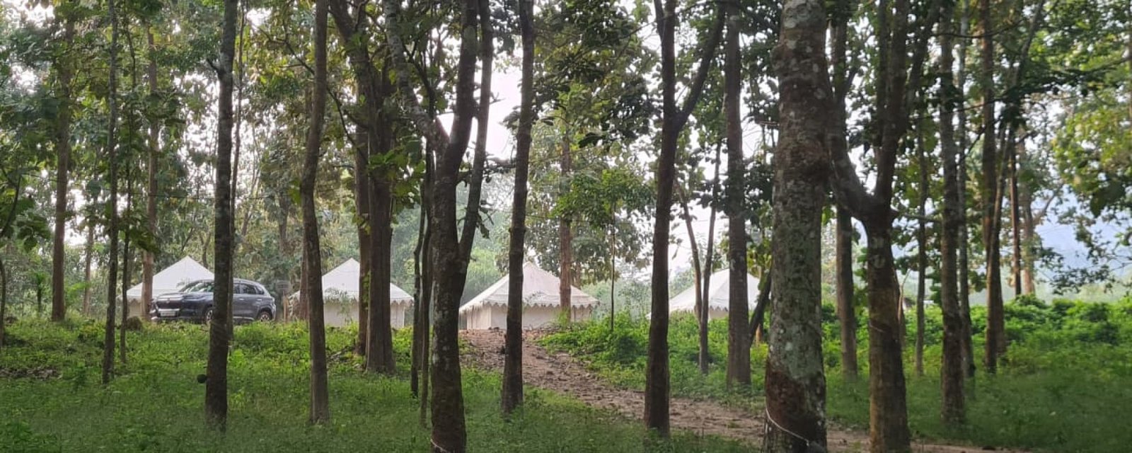 7dba563d-dd0f-4c9b-a322-c02e76e97582