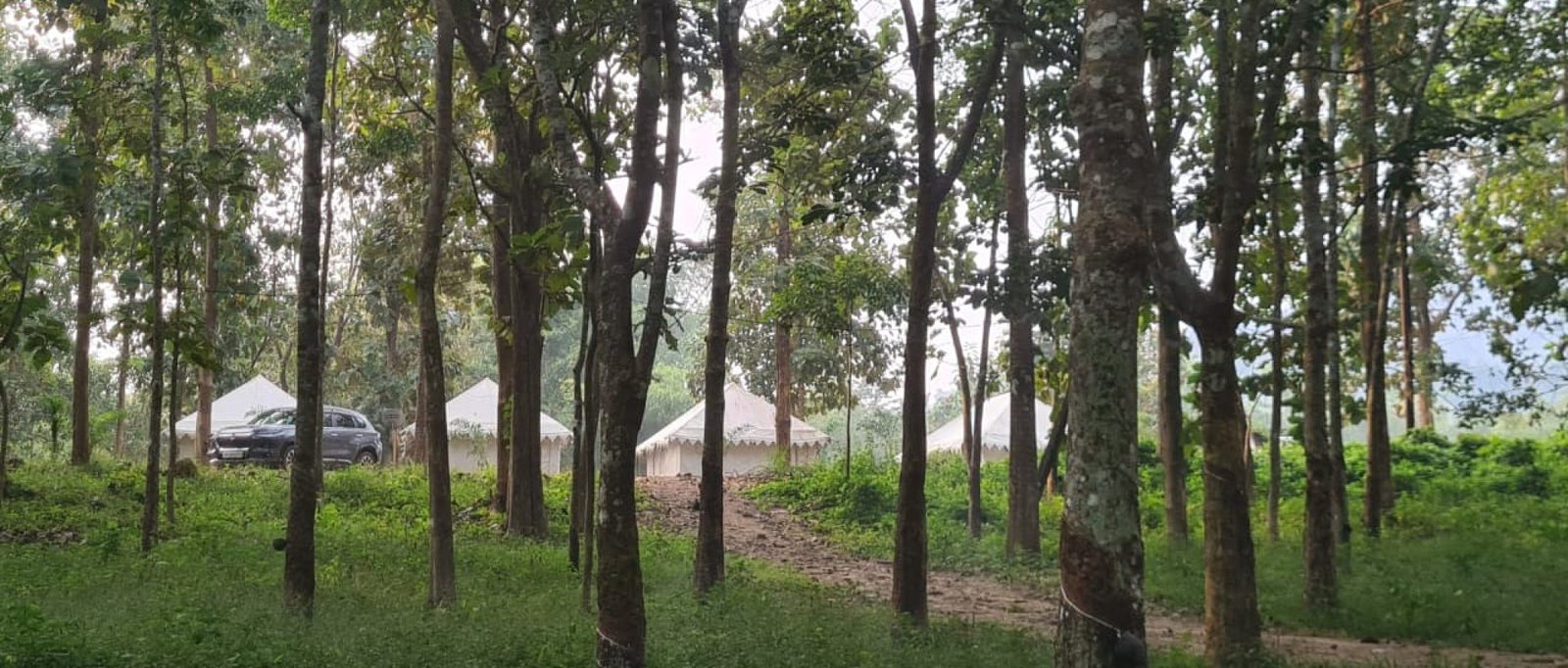 7dba563d-dd0f-4c9b-a322-c02e76e97582