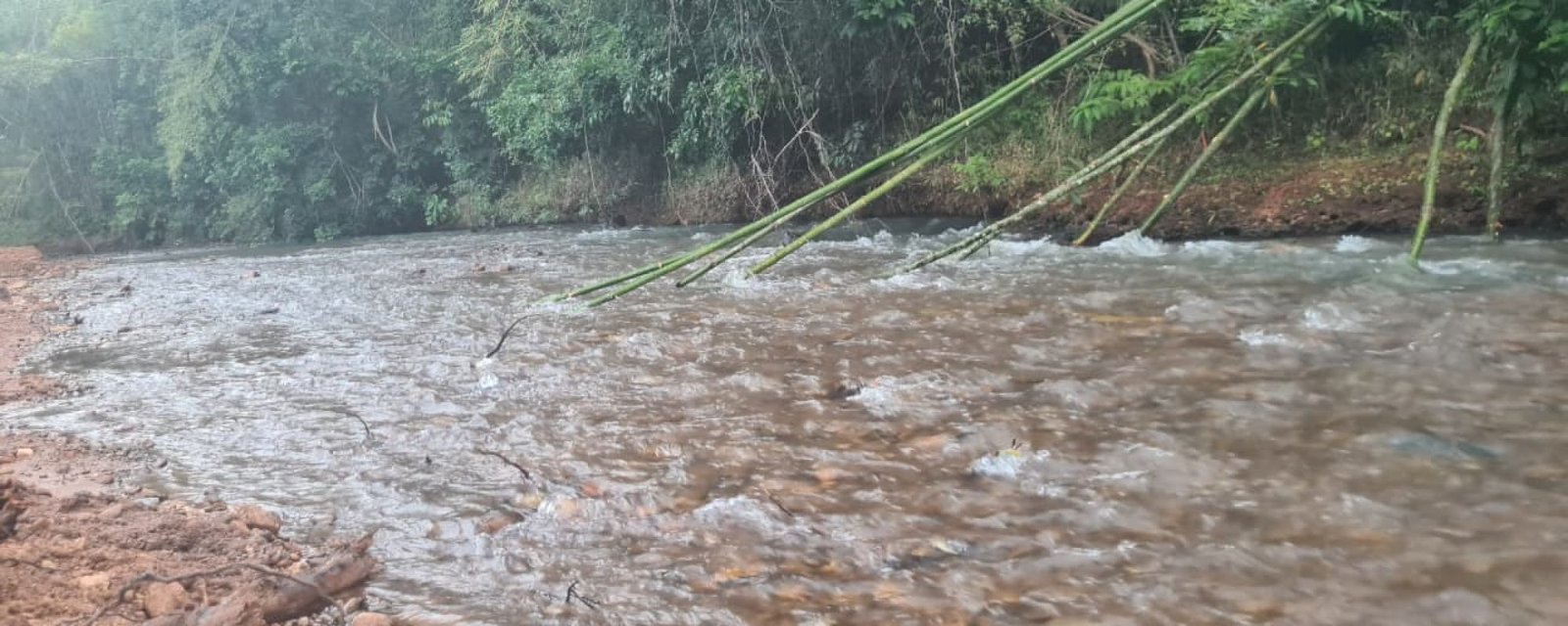 Paloma-Maredumilli Resorts